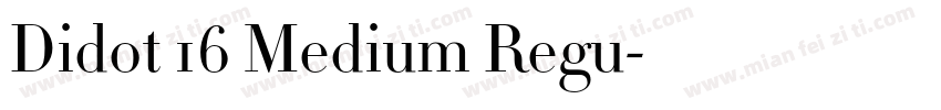 Didot 16 Medium Regu字体转换